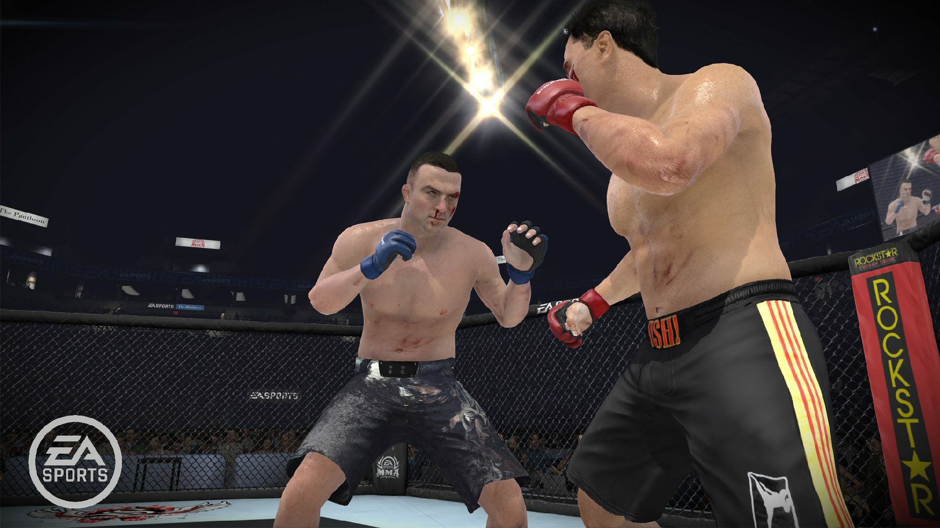 EA Sports MMA - Imagen 16